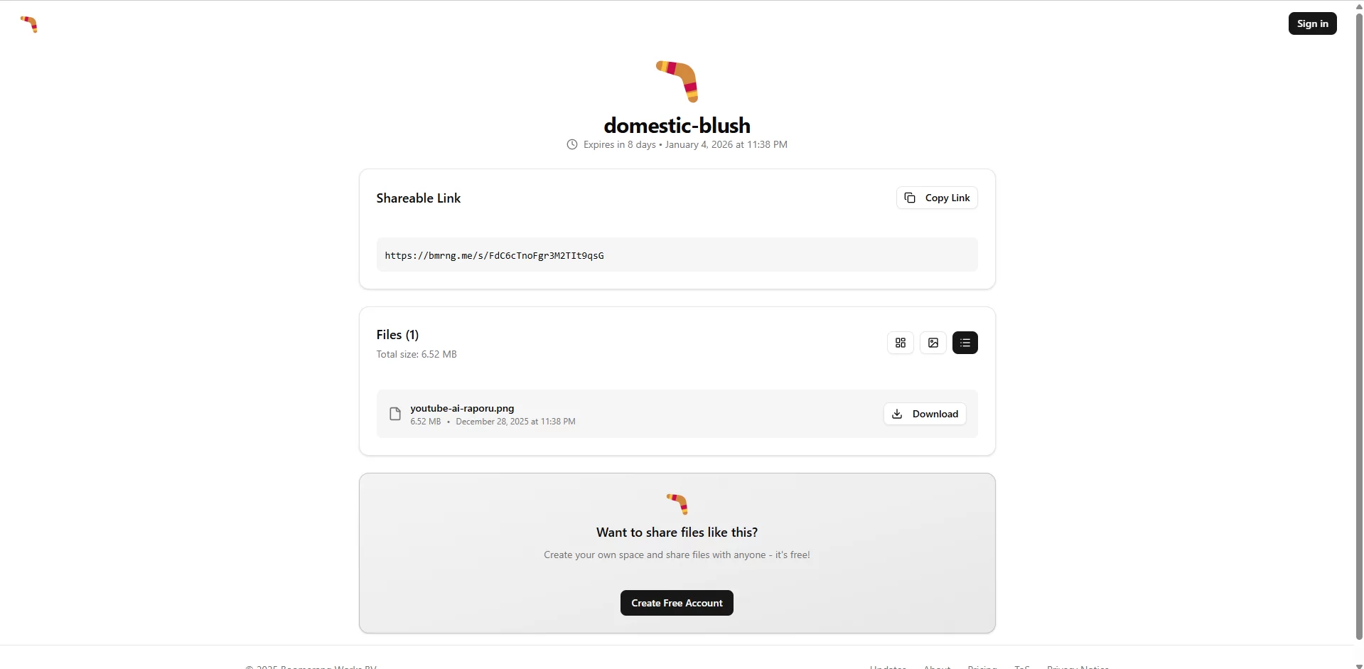 boomerang wetransfer rakibi 4