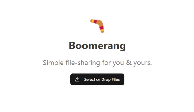 boomerang-wetransfer-rakibi
