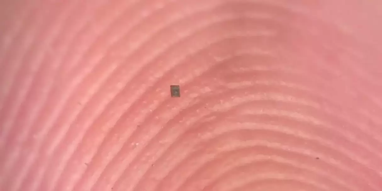 Vücudumuzda Gezecek Robotlar Gerçek Oldu!