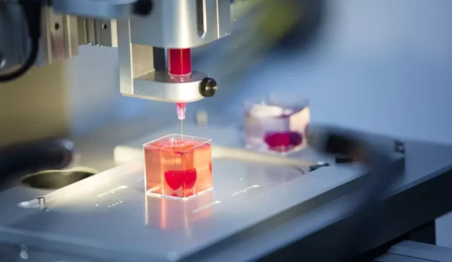 3d-karaciger-basildi-2