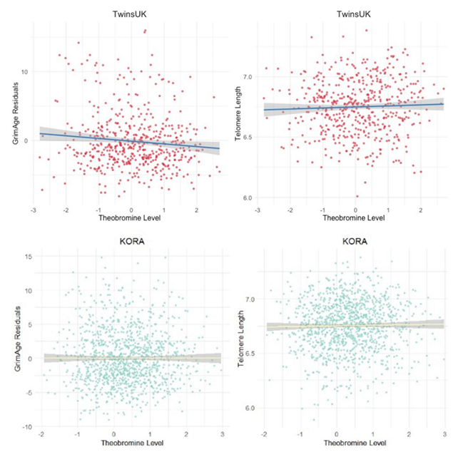 bitter cikolata AgeingChart