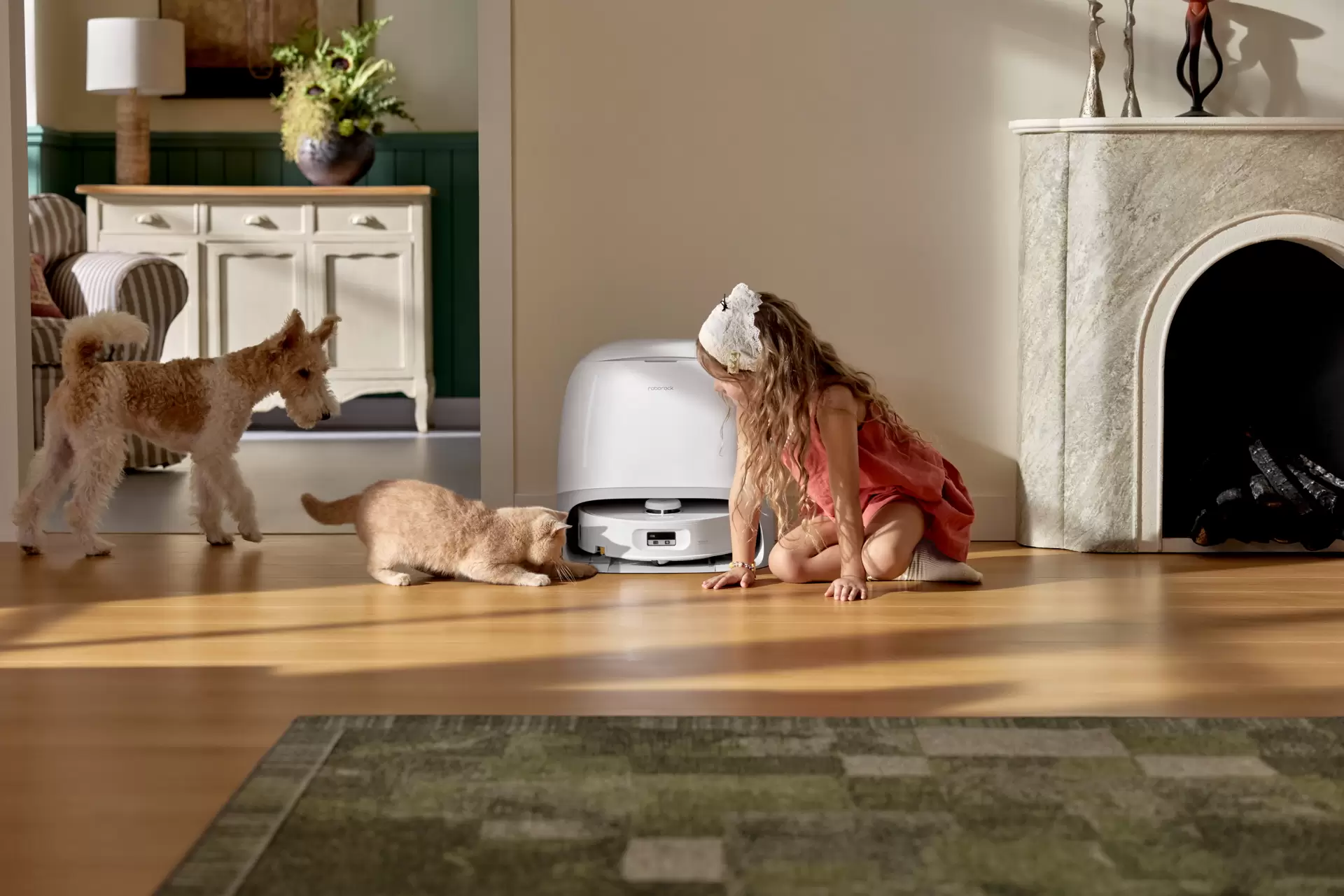 roborock Curv2Flow 3