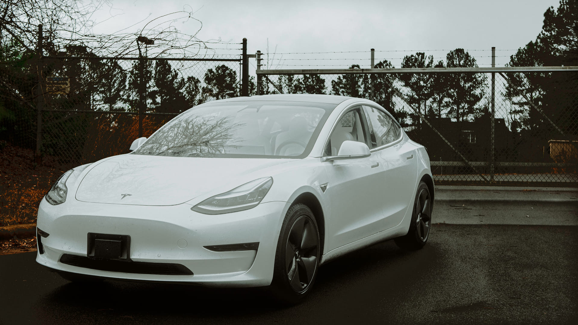 tesla model