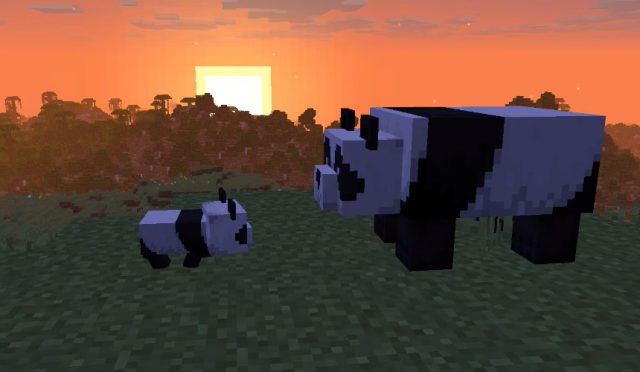 minecraft-yavru-panda