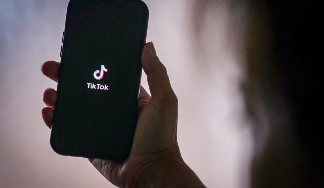 tiktok-indirici